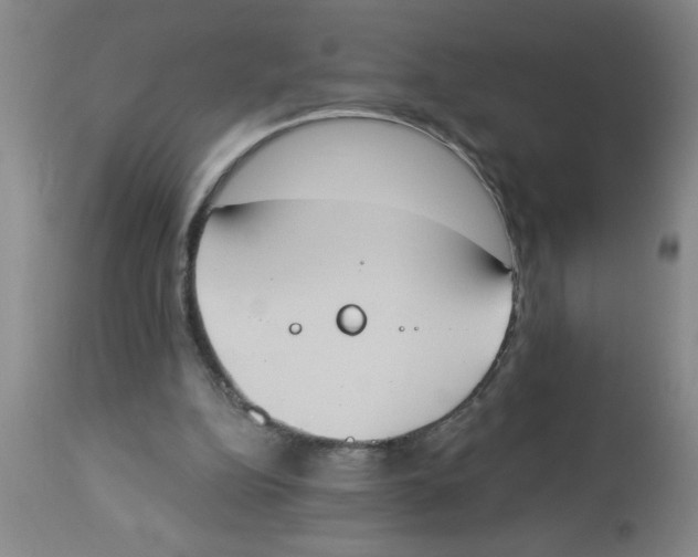 X0000112840152200909181721