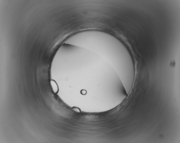 X0000112840154200909181721