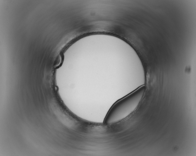 X0000112840156200909181721