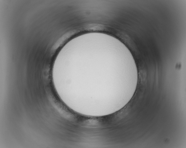 X0000112840159200909181721