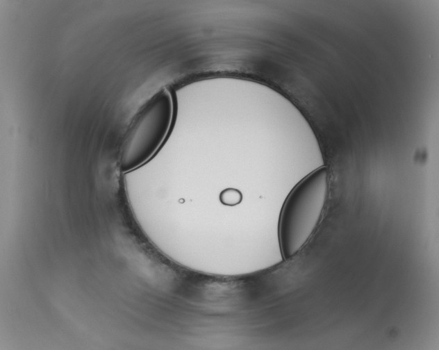 X0000112840160200909181721