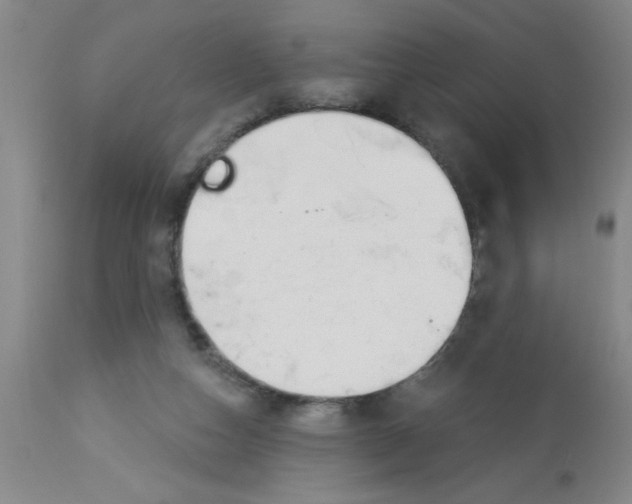 X0000112840162200909181721