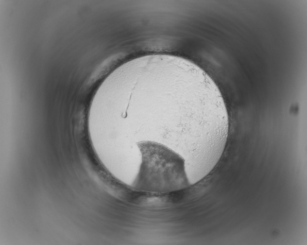 X0000112840163200909181721