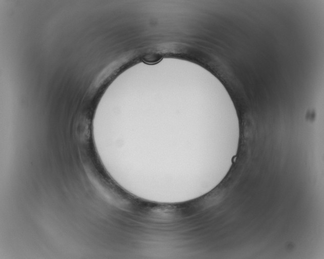 X0000112840164200909181721