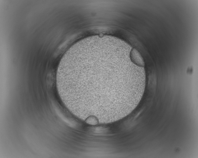 X0000112840165200909181721