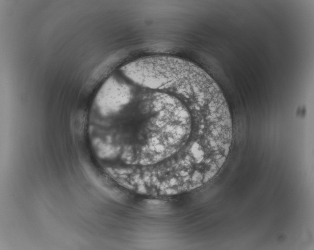 X0000112840167200909181721