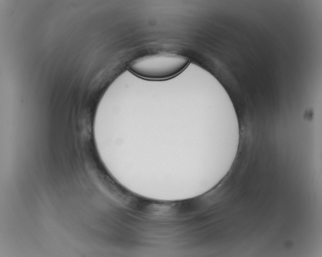 X0000112840170200909181721