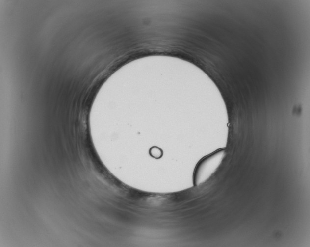 X0000112840172200909181721