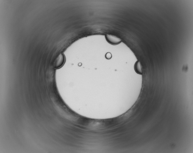 X0000112840174200909181721