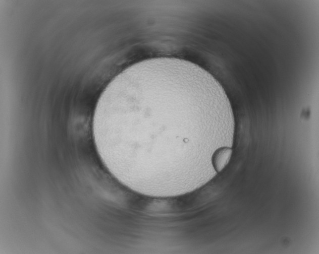 X0000112840177200909181721