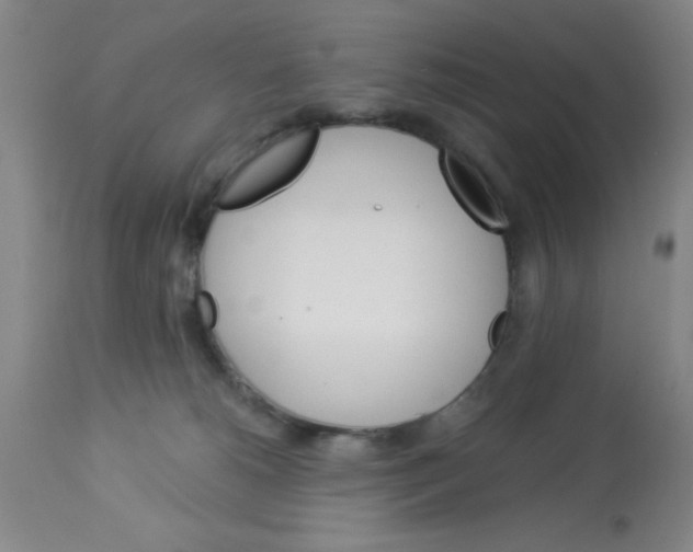 X0000112840180200909181721