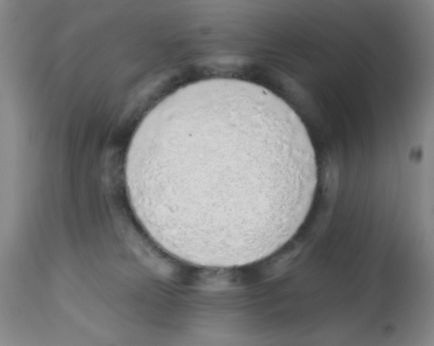 X0000112840181200909181721