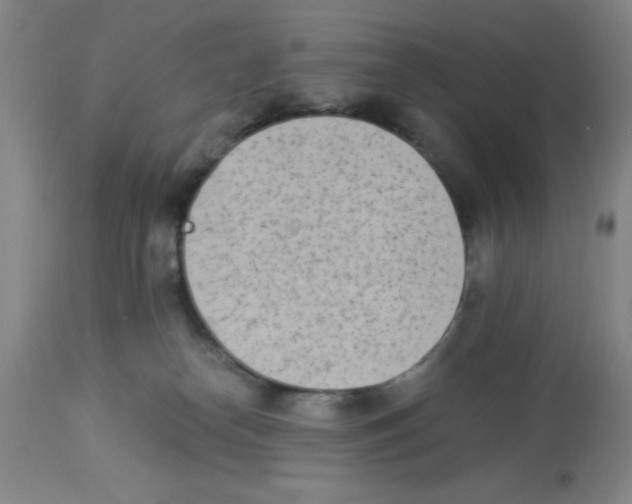 X0000112840182200909181721