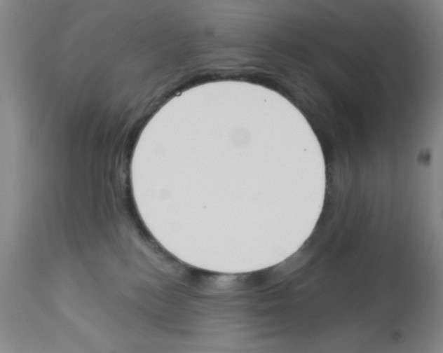 X0000112840184200909181721