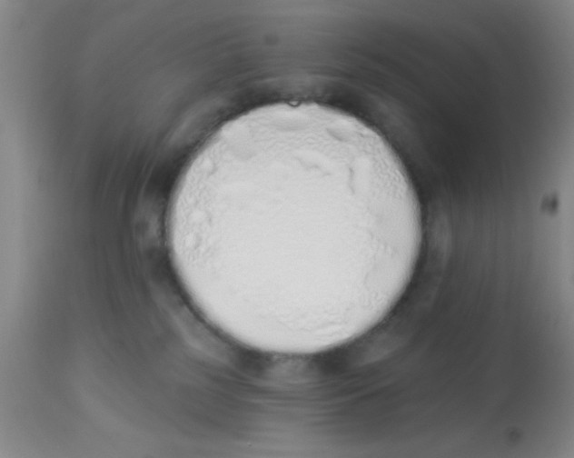 X0000112840185200909181721