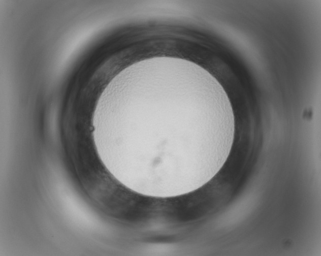 X0000112840189200909181721