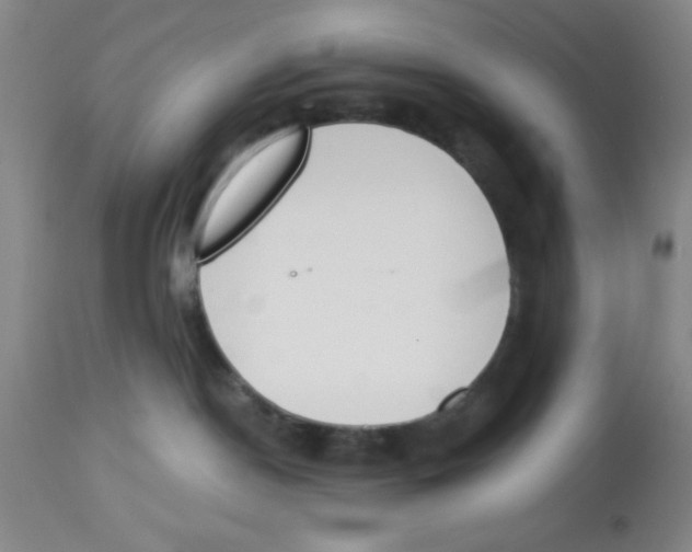 X0000112840190200909181721