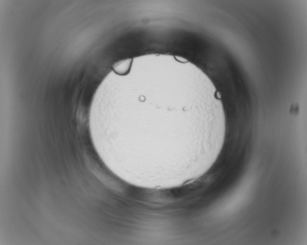 X0000112840191200909181721