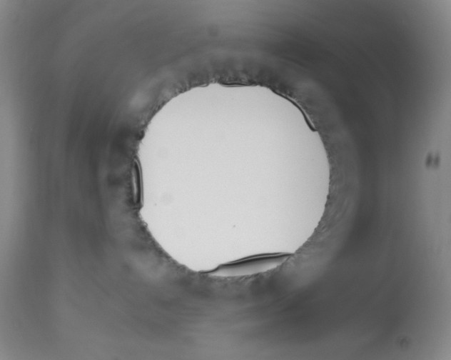 X0000112840192200909181721