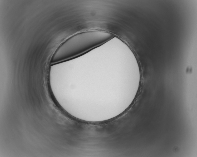 X0000112840193200909181721