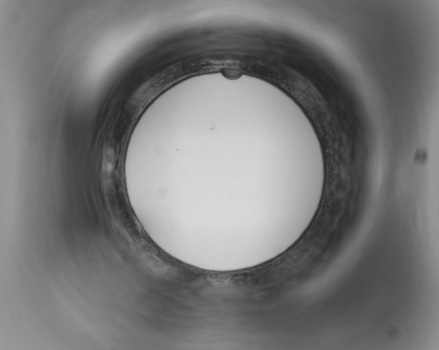 X0000112840194200909181720