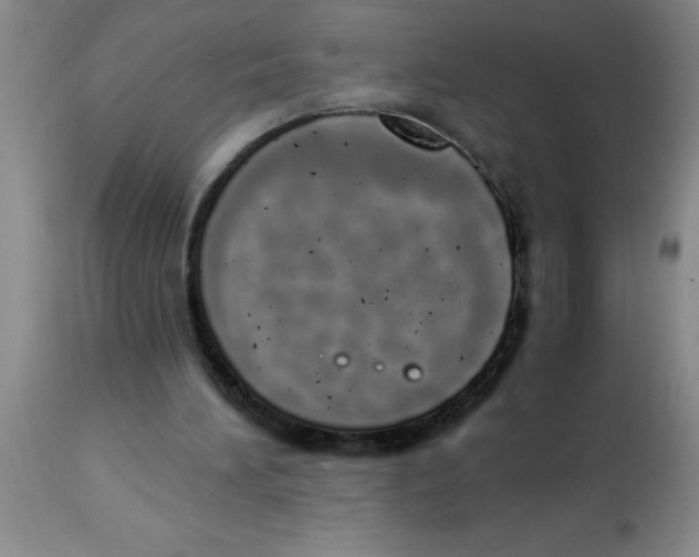 X0000112840196200909181720