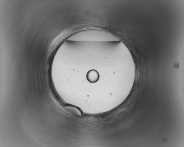 X0000112840197200909181720