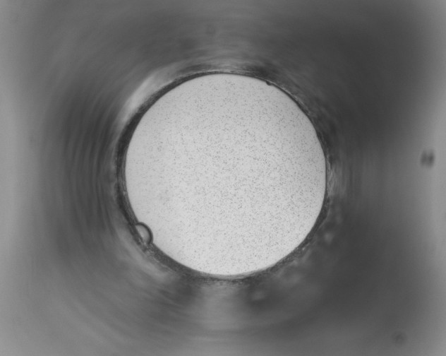 X0000112840198200909181720