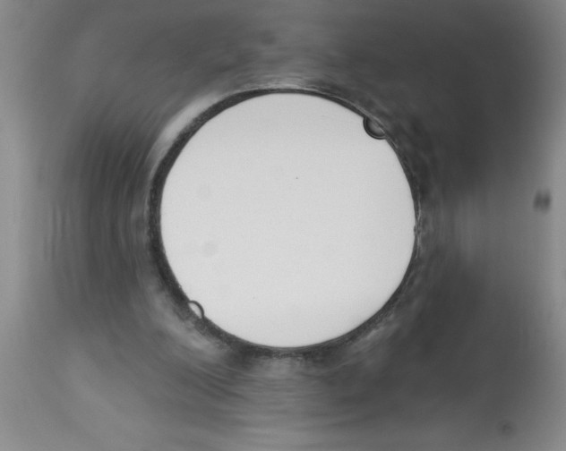 X0000112840200200909181720