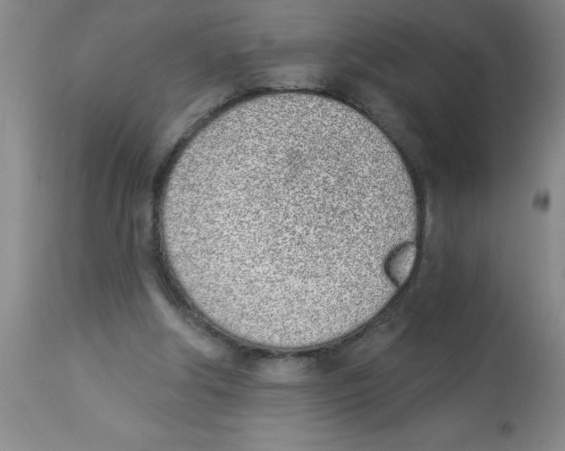 X0000112840202200909181720