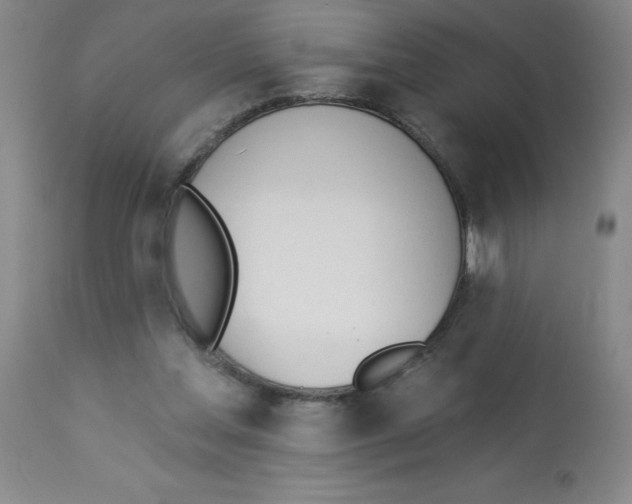 X0000112840205200909181720