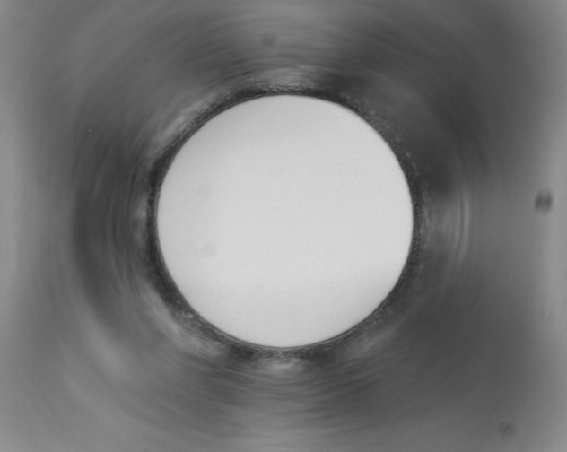 X0000112840206200909181720