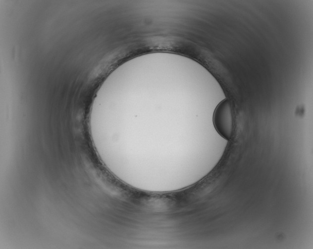 X0000112840209200909181720