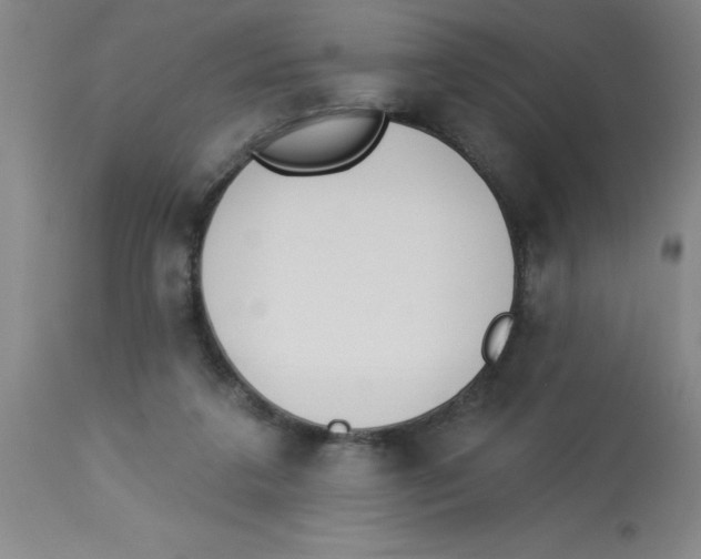 X0000112840211200909181720