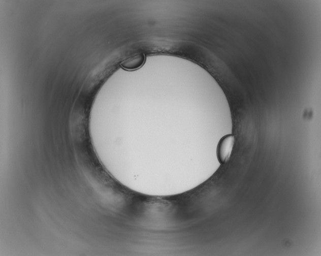 X0000112840215200909181720