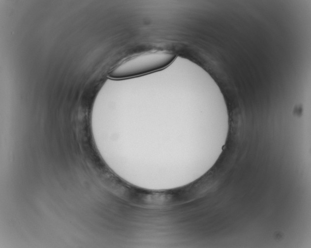 X0000112840225200909181720