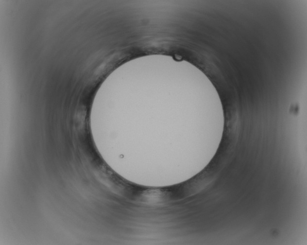 X0000112840231200909181720