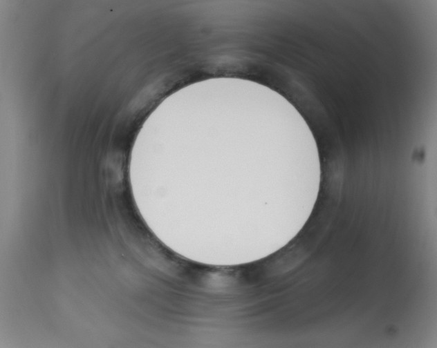 X0000112840232200909181720