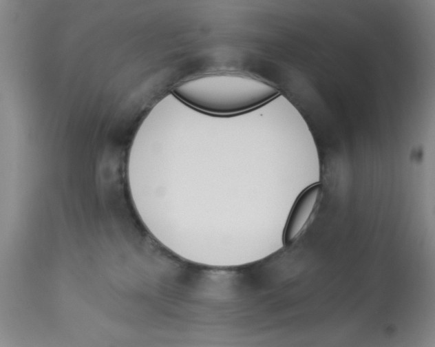 X0000112840233200909181720