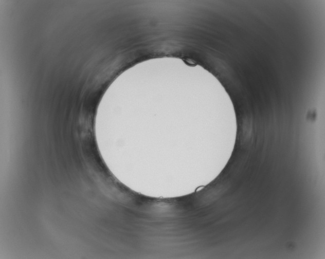 X0000112840236200909181720