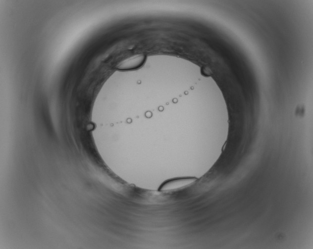 X0000112840239200909181720