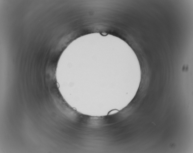 X0000112840240200909181720