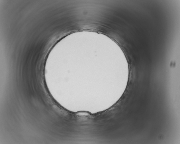 X0000112840241200909181719