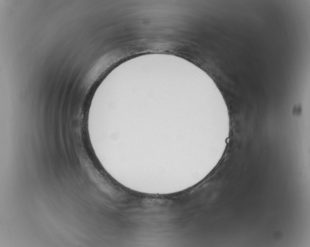 X0000112840242200909181719