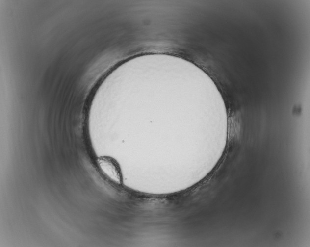 X0000112840243200909181719