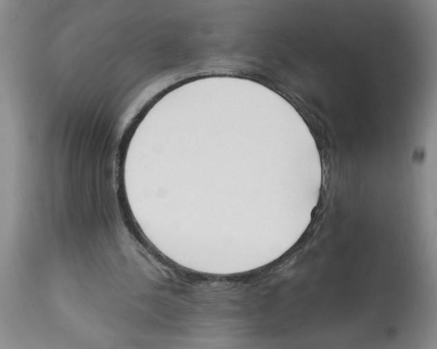 X0000112840244200909181719