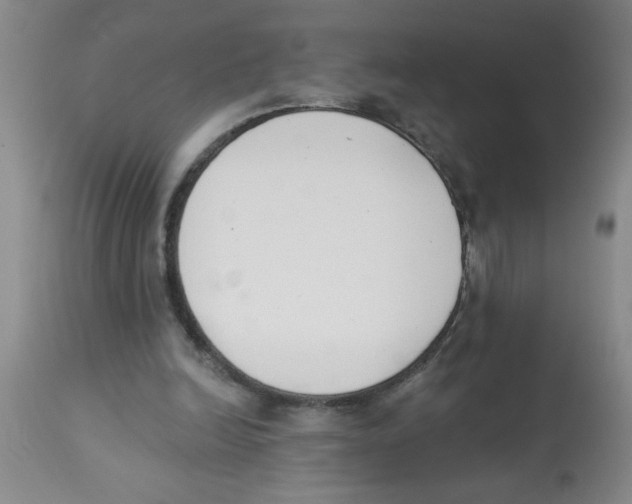 X0000112840246200909181719