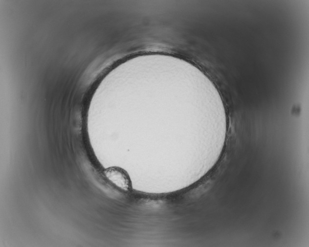 X0000112840247200909181719