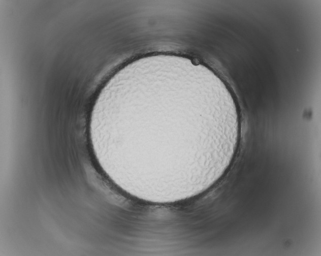 X0000112840249200909181719