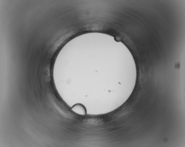 X0000112840251200909181719